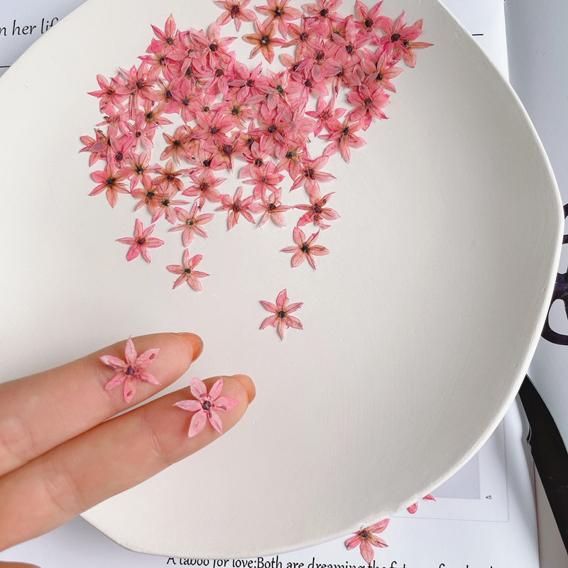 Nail Art Flower - 0,7-1cm/stücke, gepresste Mini-Lauch blume, winzige Trocken