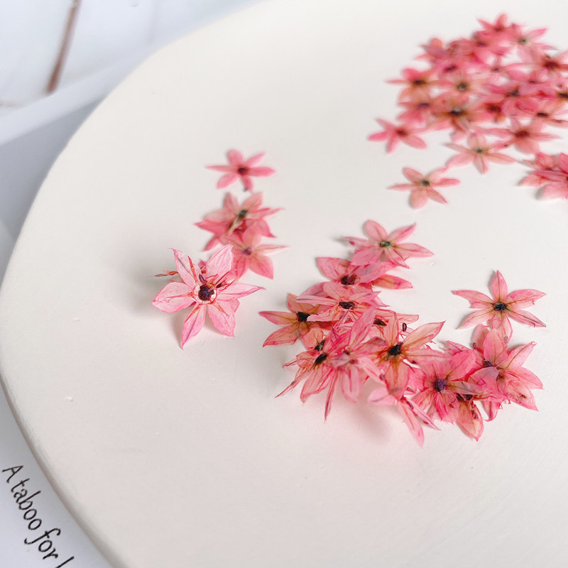 0,7-1cm/stücke, gepresste Mini – Nail Art Flower Bewertung und Preis