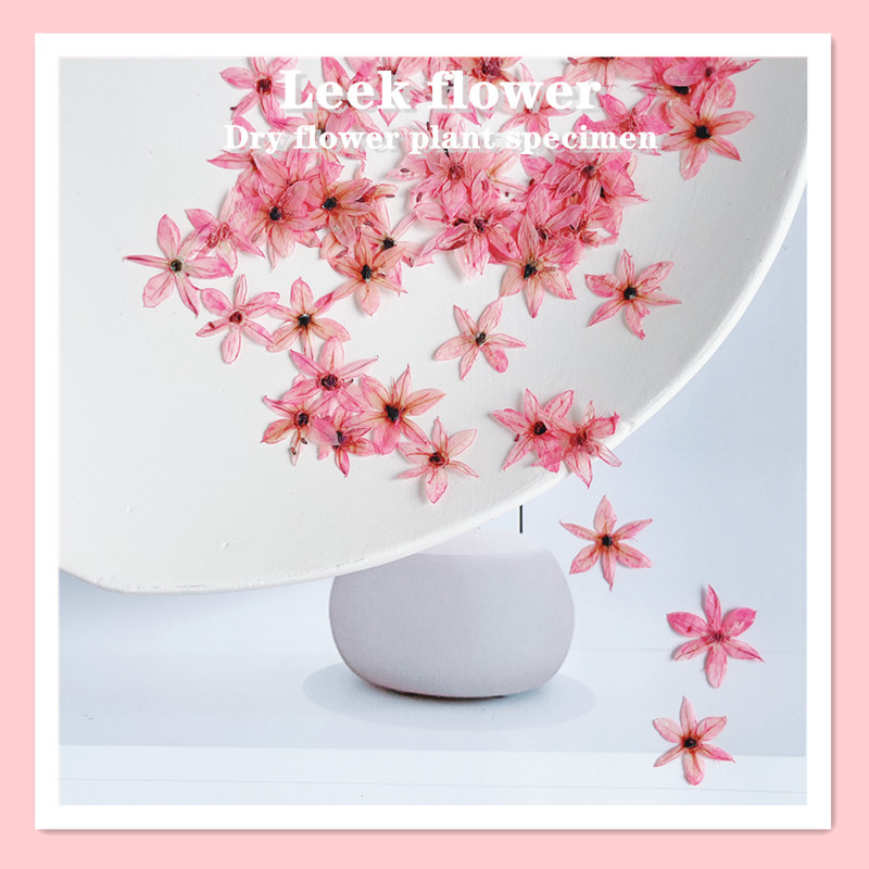 0,7-1cm/stücke, gepresste Mini – Nail Art Flower Bewertung und Preis