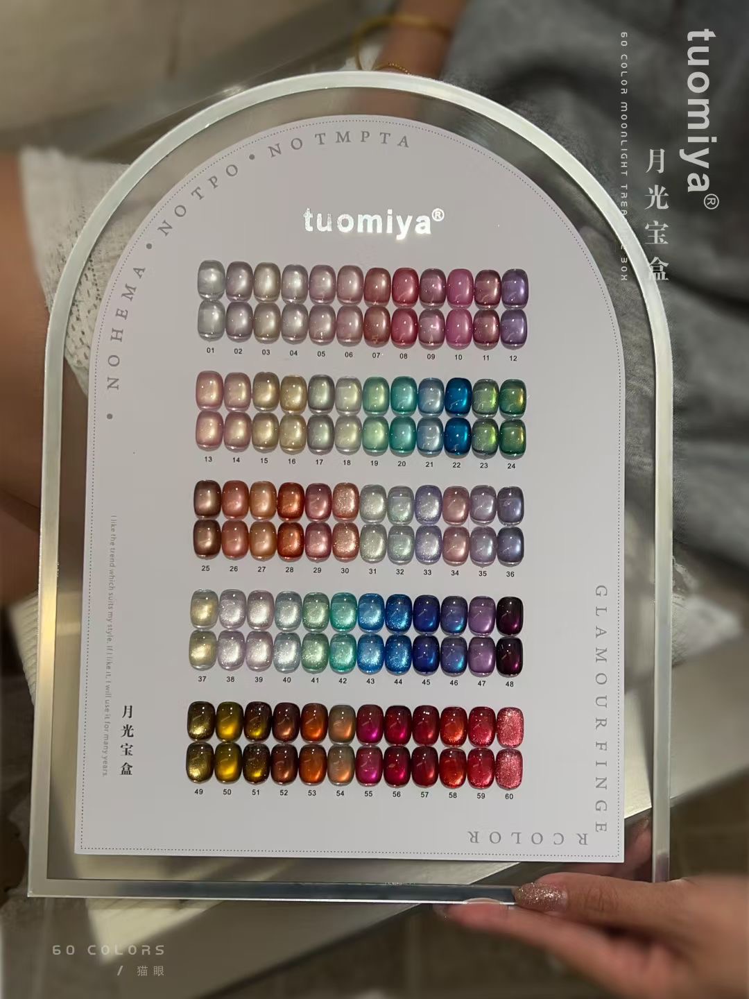 60-Farben Moonlight Cat Eye Na – Nail Art Halal Bewertung und Preis